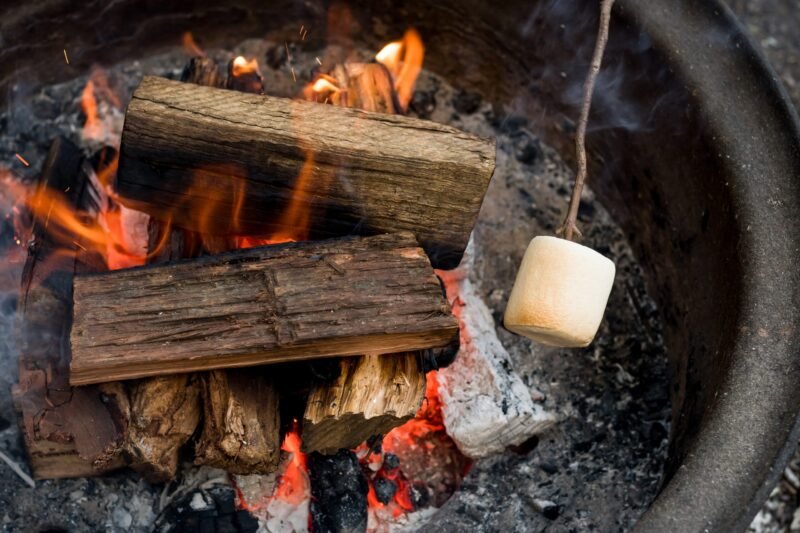 roasting-big-marshmallows-on-a-stick-a-campfire-f-2022-11-15-14-05-49-utc