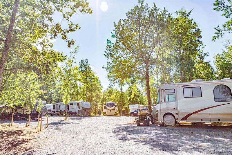 RVs parked under trees at Kick Back Ranch, one of the premier campgrounds near Montgomery, AL